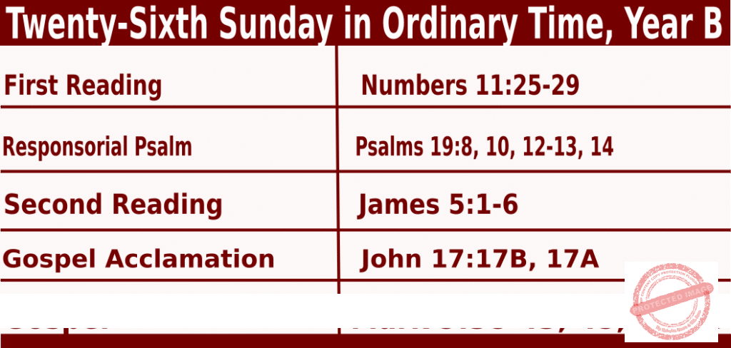 Sunday Mass Readings For September 29 2024, 26th Sunday In Ordinary ...